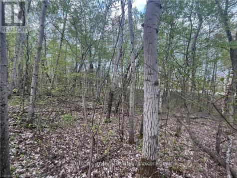 Lot 6 Grey Road 1 Georgian Bluffs ON N0H 2T0