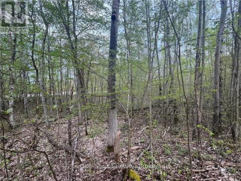 Lot 6 Grey Road 1 Georgian Bluffs ON N0H 2T0