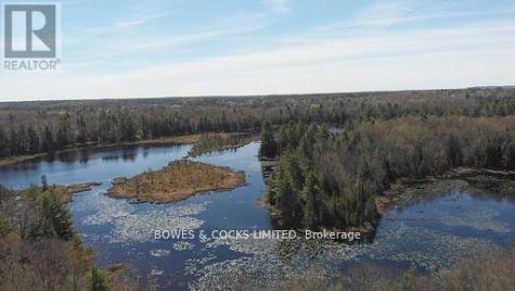 0 Renwick Road North Kawartha ON K0L 1A0