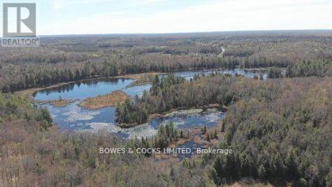 0 Renwick Road North Kawartha ON K0L 1A0