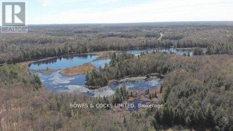 0 Renwick Road North Kawartha ON K0L 1A0