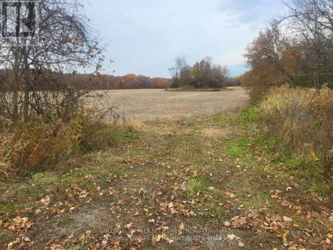 Lot 2 Bush Road Rideau Lakes ON K0G 1E0