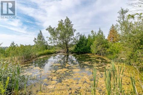 0 Shaws Creek Road Caledon ON L7C 1V9