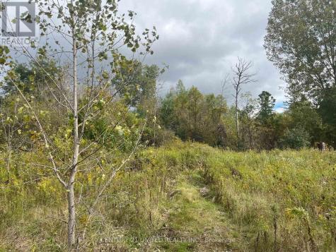 Part Lot 9 Workman Road Cobourg ON K9A 4J8