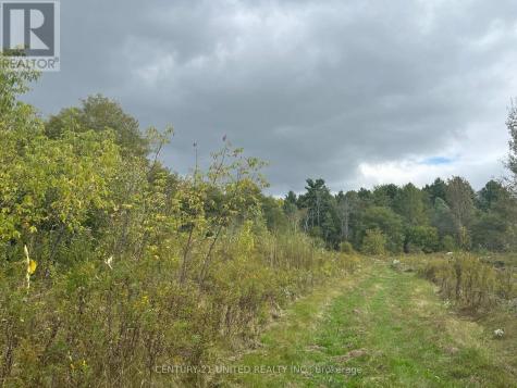 Part Lot 9 Workman Road Cobourg ON K9A 4J8