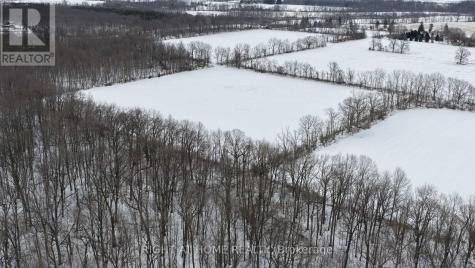 1355 County Road Essex ON N9Y 2E6