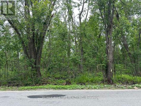 20 Lot Tate's Bay Road Trent Lakes ON K0M 1A0