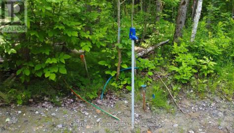 Lot 52 Tiny Beaches Road North Tiny ON L9M 0H8