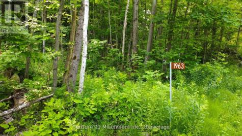 Lot 52 Tiny Beaches Road North Tiny ON L9M 0H8