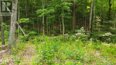 Lot 52 Tiny Beaches Road North Tiny ON L9M 0H8