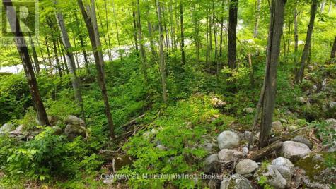 Lot 52 Tiny Beaches Road North Tiny ON L9M 0H8