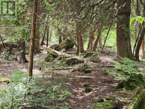 23 Rabbit South Bruce Peninsula ON N0H 2T0