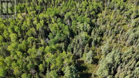 Part 1&2 Jones Road Kenora ON P9N 0B1