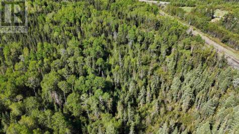 Part 1&2 Jones Road Kenora ON P9N 0B1