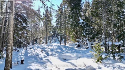 Lot 22 Ray Drive Northern Bruce Peninsula ON N0H 2R0