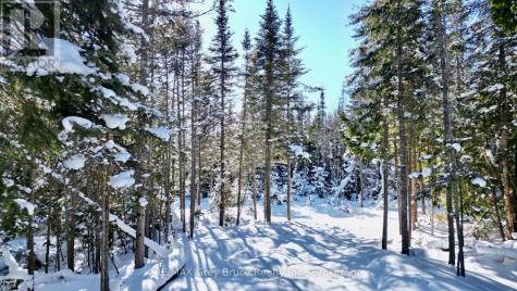 Lot 22 Ray Drive Northern Bruce Peninsula ON N0H 2R0