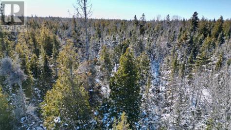Lot 22 Ray Drive Northern Bruce Peninsula ON N0H 2R0