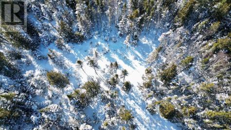 Lot 22 Ray Drive Northern Bruce Peninsula ON N0H 2R0