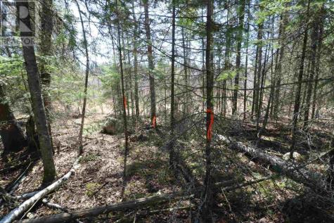 Lot 151 Plan M222 Minaki ON P0X 1J0