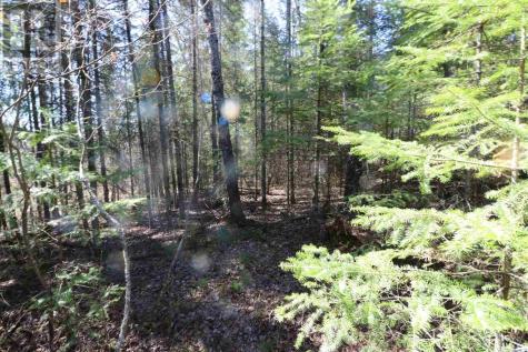 Lot 151 Plan M222 Minaki ON P0X 1J0