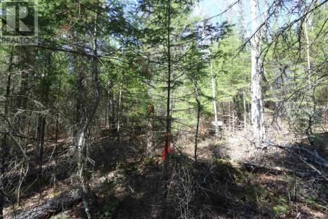 Lot 151 Plan M222 Minaki ON P0X 1J0