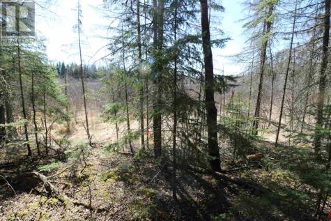 Lot 151 Plan M222 Minaki ON P0X 1J0