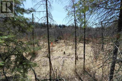 Lot 151 Plan M222 Minaki ON P0X 1J0