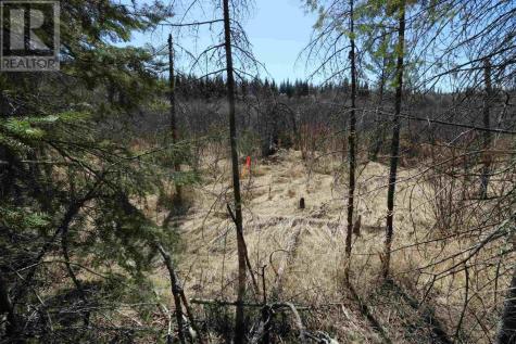 Lot 151 Plan M222 Minaki ON P0X 1J0