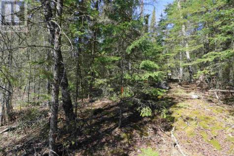 Lot 151 Plan M222 Minaki ON P0X 1J0