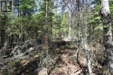 Lot 151 Plan M222 Minaki ON P0X 1J0
