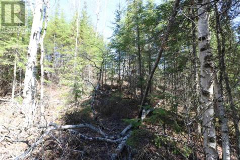 Lot 151 Plan M222 Minaki ON P0X 1J0