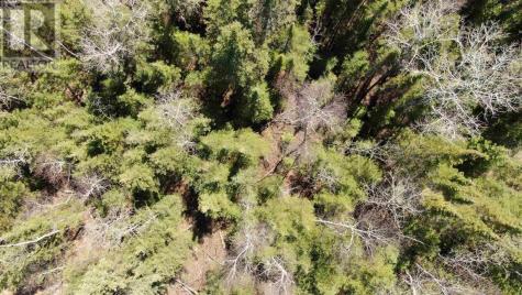 Lot 151 Plan M222 Minaki ON P0X 1J0