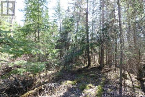 Lot 151 Plan M222 Minaki ON P0X 1J0