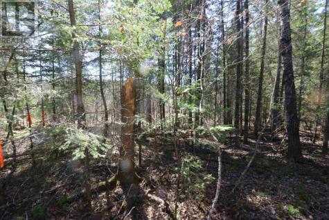 Lot 151 Plan M222 Minaki ON P0X 1J0
