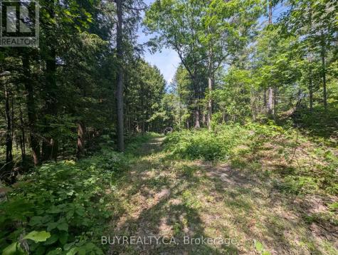 2318 Sherwood Forest Lane Severn ON L0K 1E0