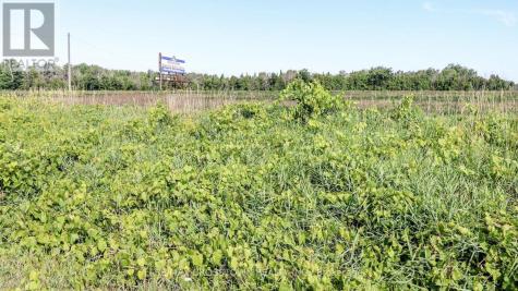 Point Lt 20 Concession 7 Road Oro-medonte ON L0L 2L0