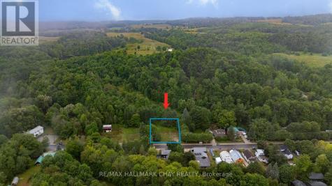 8968 County Road 9 Clearview ON L0M 1G0