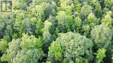 Lot B Chippawa Road Madawaska Valley ON K0J 1B0