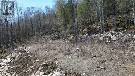 132-B Georgian Drive Northern Bruce Peninsula ON N0H 1W0