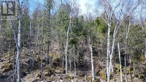 132-B Georgian Drive Northern Bruce Peninsula ON N0H 1W0