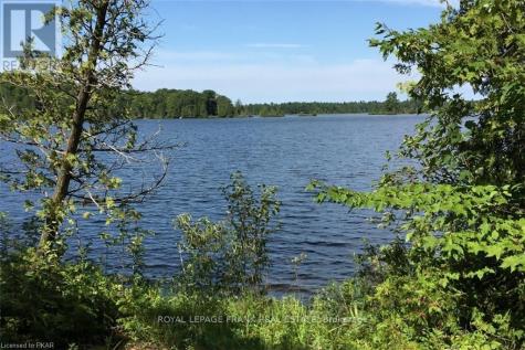 0 Hall Drive Trent Lakes ON K0L 1J0