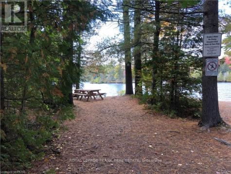 0 Hall Drive Trent Lakes ON K0L 1J0
