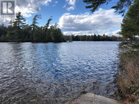0 Hall Drive Trent Lakes ON K0L 1J0