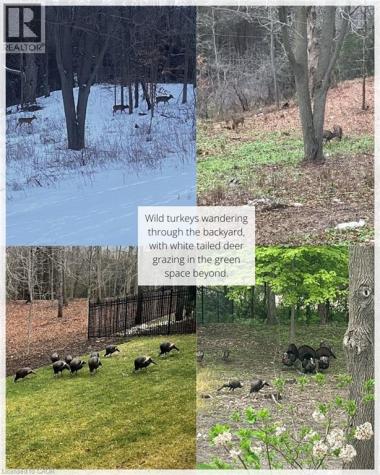 44 Pioneer Ridge Drive Kitchener ON N2P 0G6