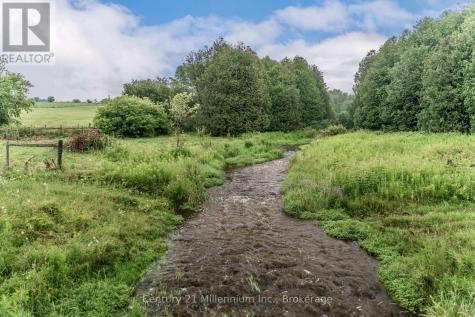 21 Station Street Amaranth ON L9W 0V2