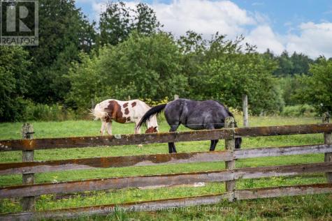 21 Station Street Amaranth ON L9W 0V2