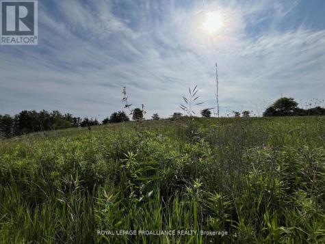 Lot 24 Mccarty Drive Cobourg ON K9A 4J9