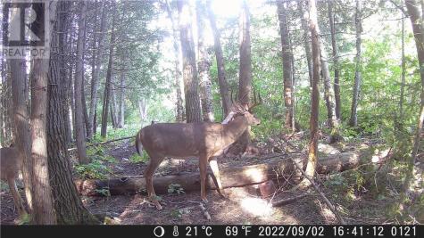 Lot 0 Whitewater Azilda ON P0M 1B0