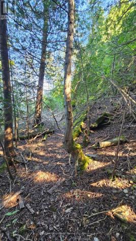 8 Carter Road Northern Bruce Peninsula ON N0H 1W0
