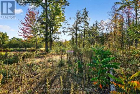 556 Champlain Road Tiny ON L9M 0C2